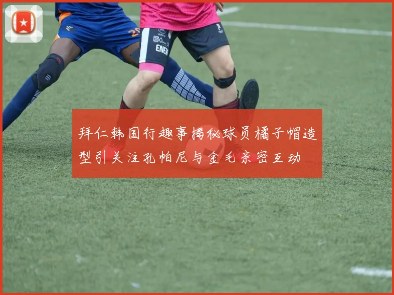 拜仁韩国行趣事揭秘球员橘子帽造型引关注孔帕尼与金毛亲密互动